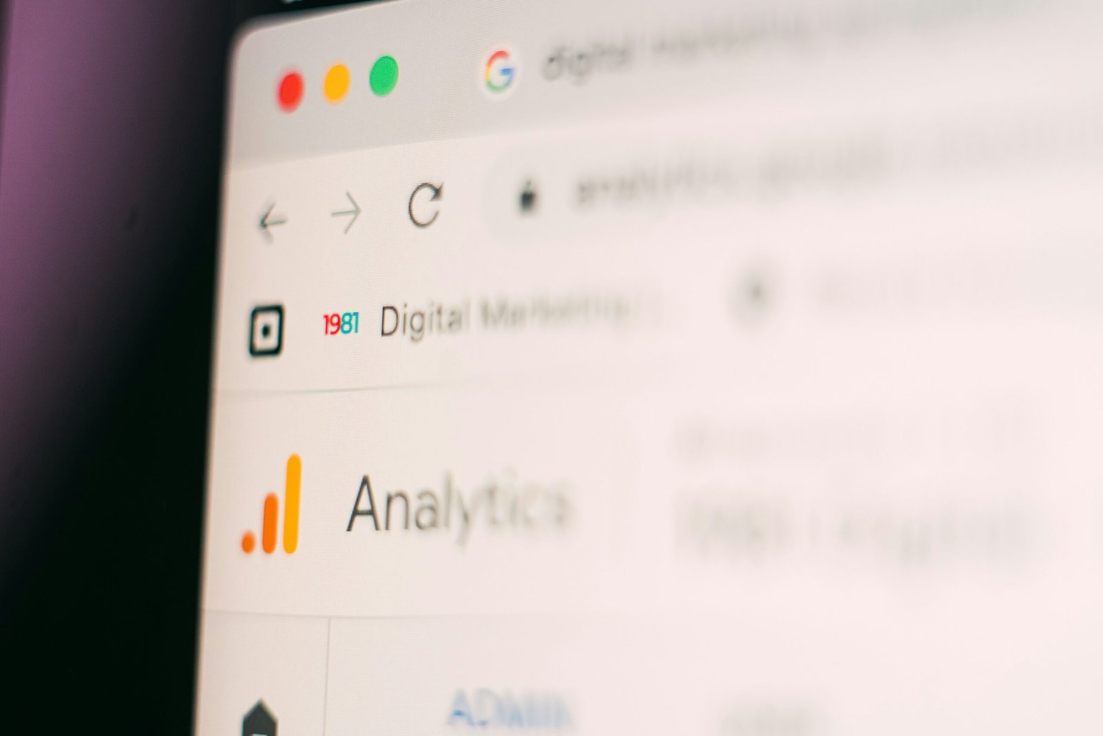 seo experts services